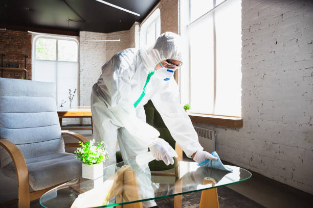 Why You Should Choose Our Mold Remediation Services in Covington, WA